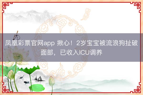 凤凰彩票官网app 揪心！2岁宝宝被流浪狗扯破面部，已收入ICU调养